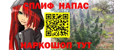 спайс Малгобек