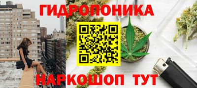 крисы Малоярославец