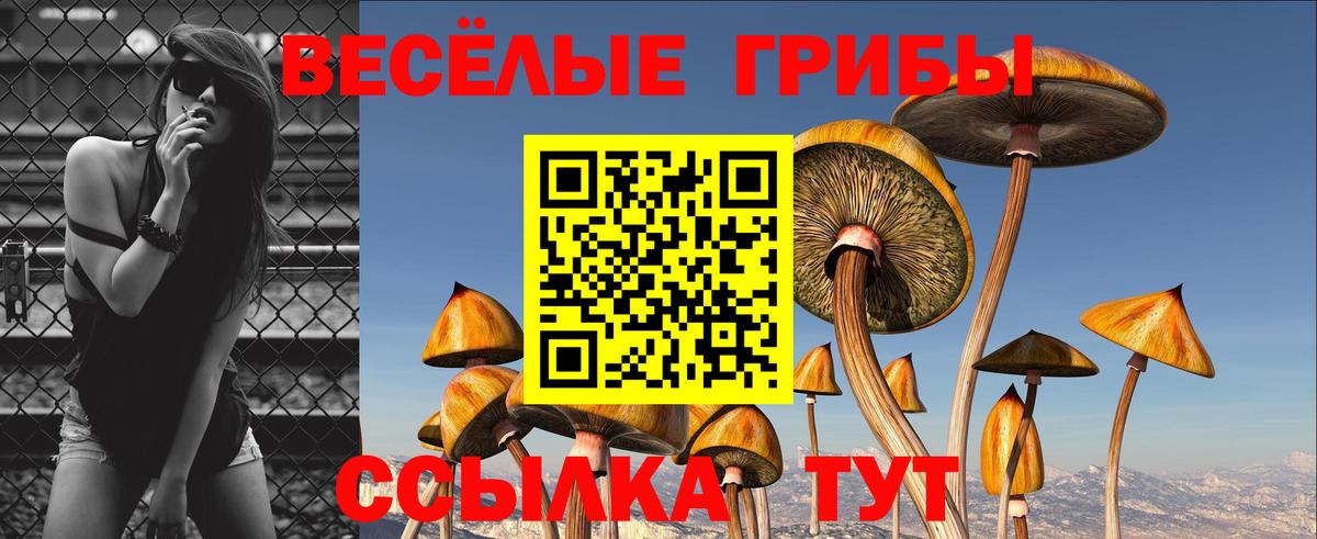 дарнет шоп  Галлюциногенные грибы Cubensis  Вход с VPN  Химки 