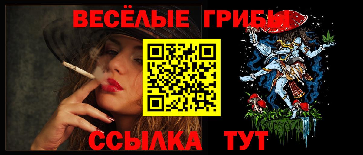 Галлюциногенные грибы Cubensis Химки